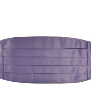 Set fusciacca papillon Lilla